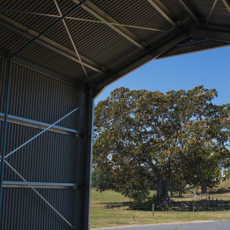 Gin Distillery Shed