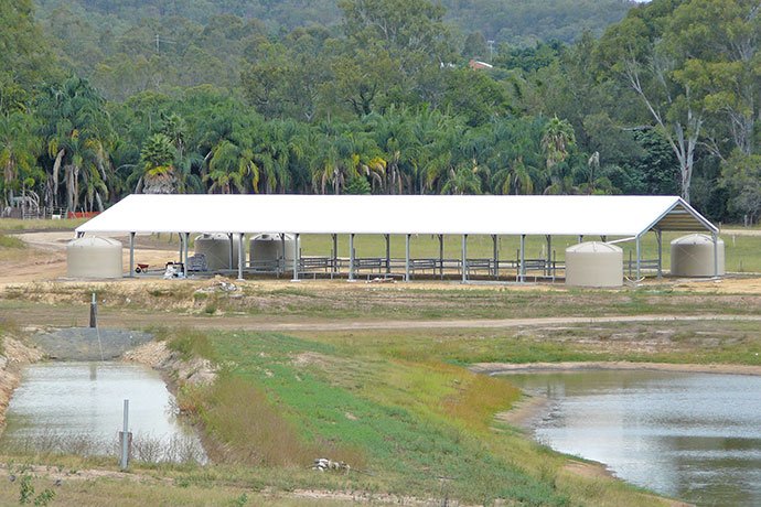 Covered Arena TSC