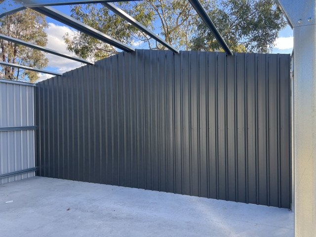 IMG 3329