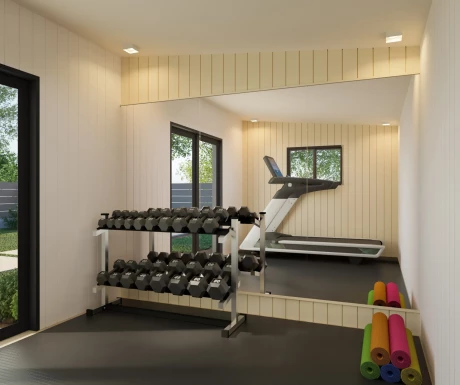 Shed Interior Gym min