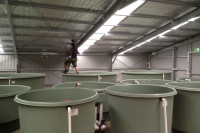 Commercial Factory shed custom designed to suit your requirements