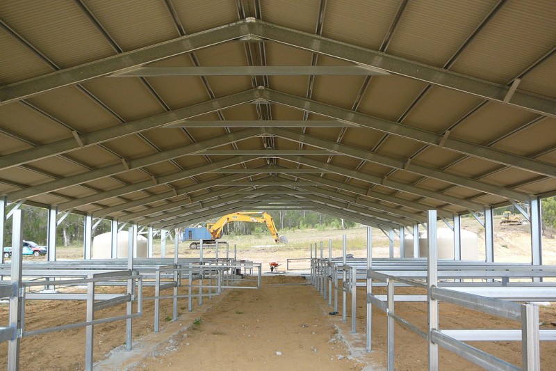 Equine Horse Riding Arena with horse stall fitout