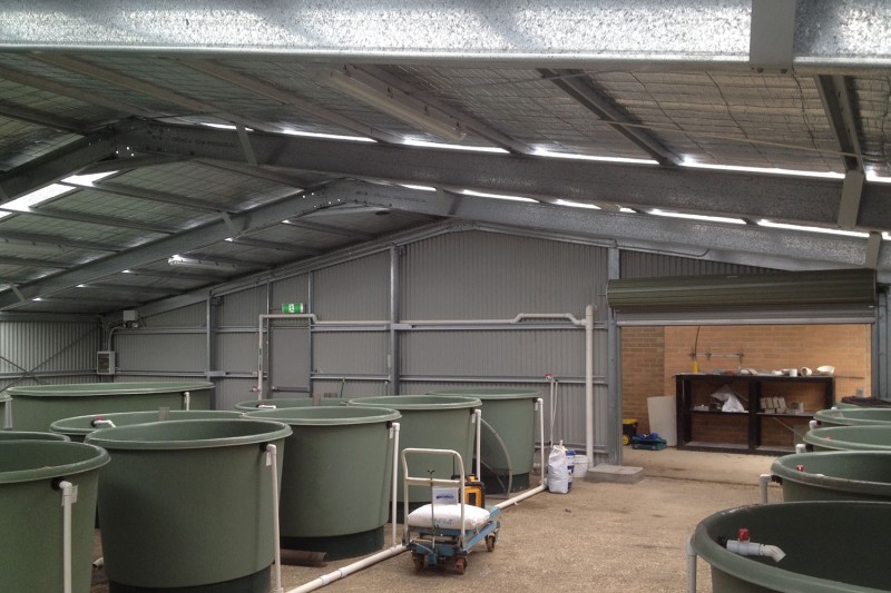 Factory shed